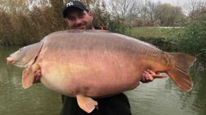 Přečtete si více ze článku Kapr o hmotnosti 51.20kg ze soukromého revíru Euro Aqua